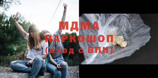 индика Пестово
