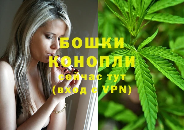 крисы Пересвет