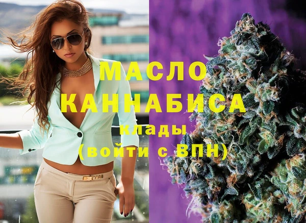 индика Пестово