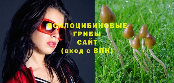индика Пестово