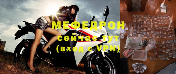 индика Пестово