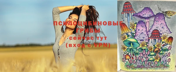 молекула духа Переславль-Залесский