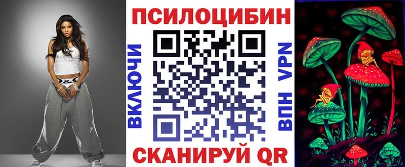 Галлюциногенные грибы Psilocybe  Зеленогорск 