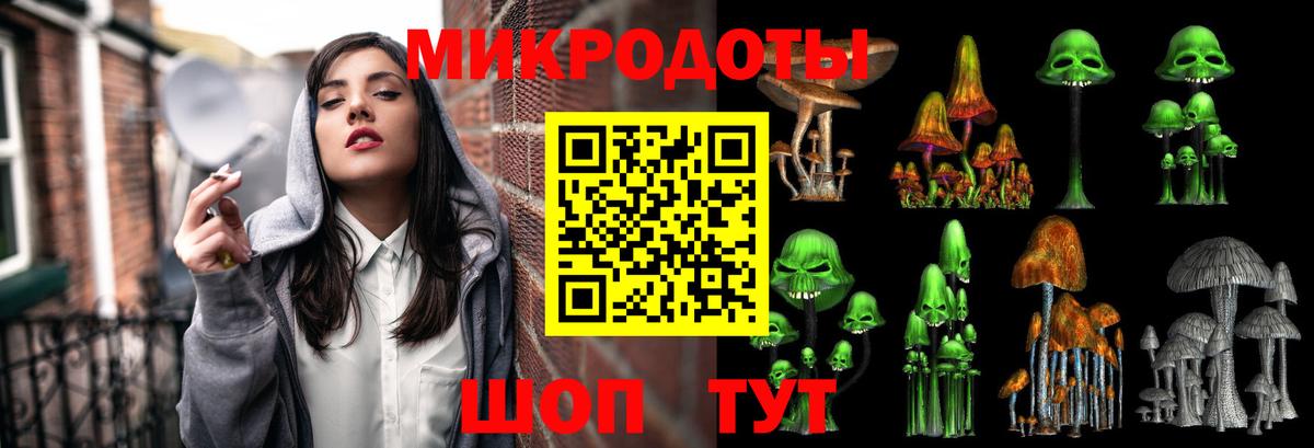 Зеленогорск  Псилоцибиновые грибы Cubensis  как найти наркотики  Вход с VPN 